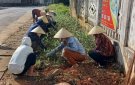 Xã Quang Trung nỗ lực thực hiện các tiêu chí xã nông thôn mới nâng cao